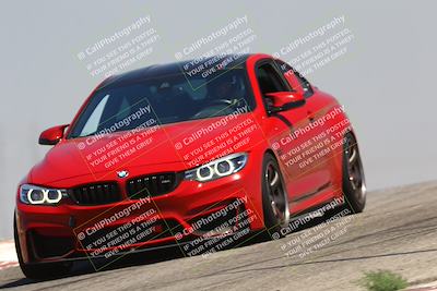 media/Jul-26-2025-Speed Ventures (Sat) [[fe569e6cf0]]/Red Group/Grapevine/